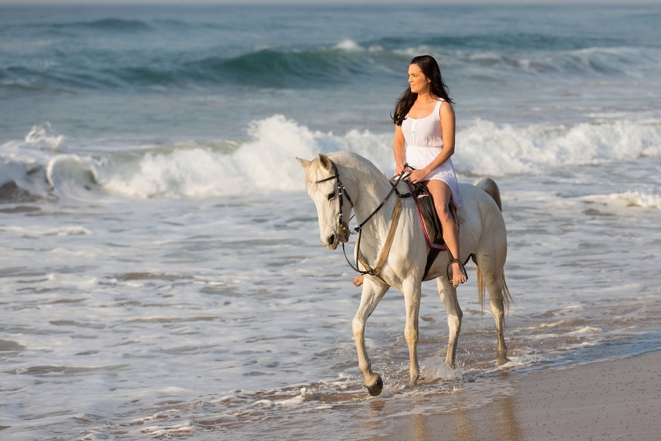 Professional horse riding guide Agadir